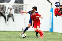 MIC22_U16_LIVER_APFC_AF_013