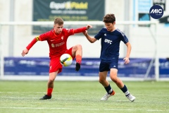 MIC22_U16_LIVER_APFC_AF_016