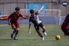 MIC24_U19_ESP_H8S_DS-21