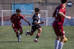 MIC24_U19_ESP_H8S_DS-22