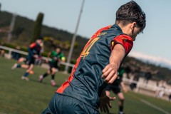 MIC26_UEQUARTSSDAUSONIA1931_10