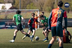 MIC26_UEQUARTSSDAUSONIA1931_14