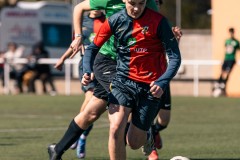 MIC26_UEQUARTSSDAUSONIA1931_15