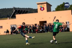 MIC26_UEQUARTSSDAUSONIA1931_18