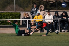 MIC26_UEQUARTSSDAUSONIA1931_24