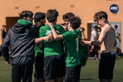 MIC26_UEQUARTSSDAUSONIA1931_26