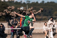 MIC26_UEQUARTSSDAUSONIA1931_3