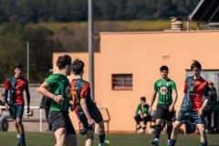 MIC26_UEQUARTSSDAUSONIA1931_4