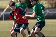 MIC26_UEQUARTSSDAUSONIA1931_6