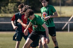 MIC26_UEQUARTSSDAUSONIA1931_8