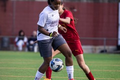 MIC26_DIJOUS_VAL_QPL-18