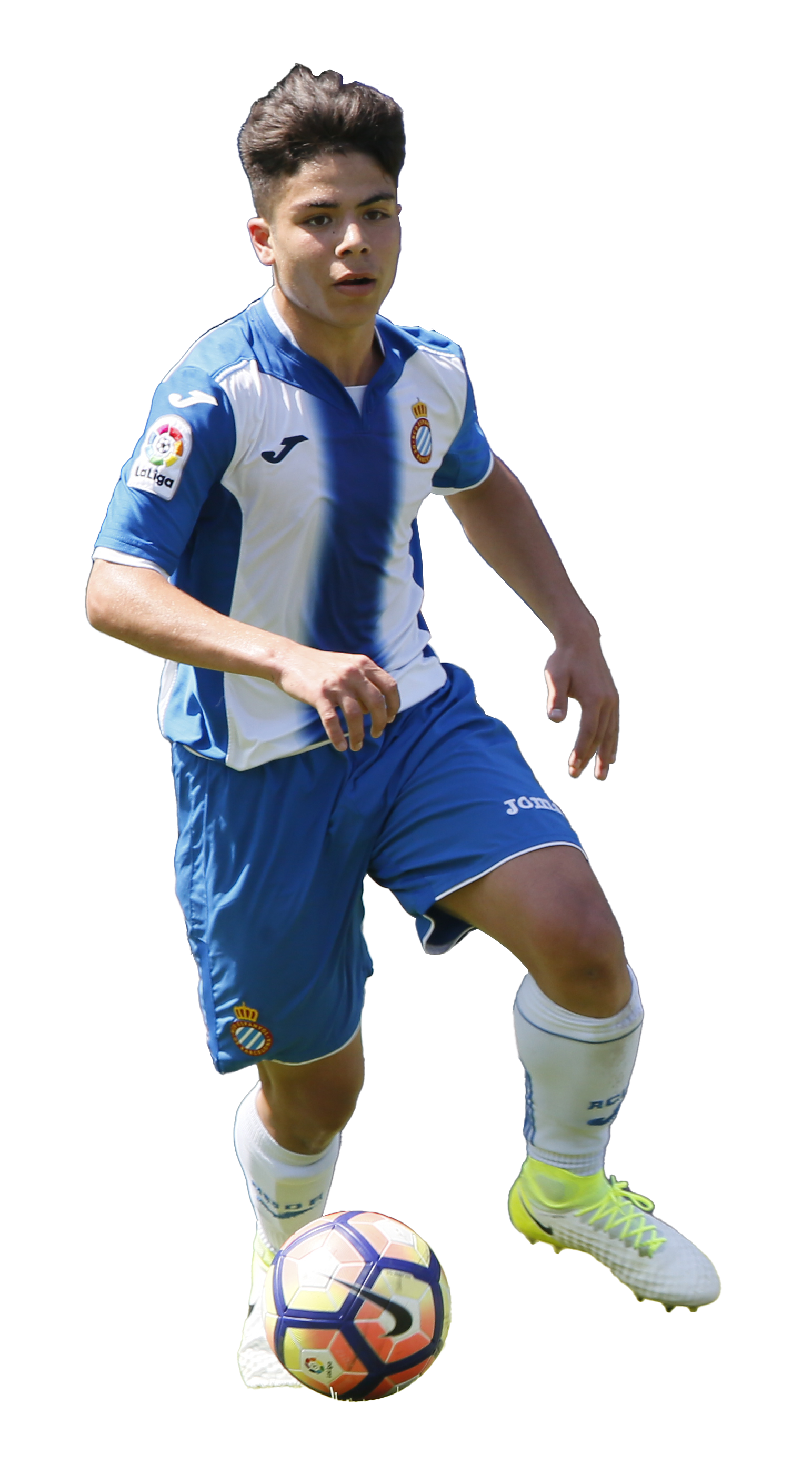 Nico Melamed
